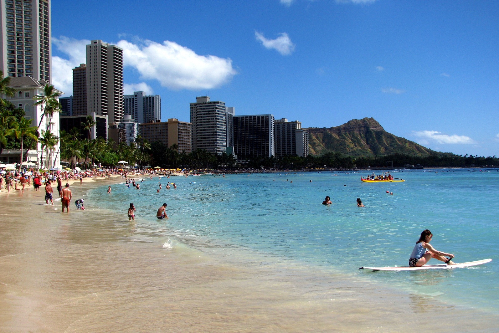 HONOLULU · HAWAII · USA 개최지 풍경