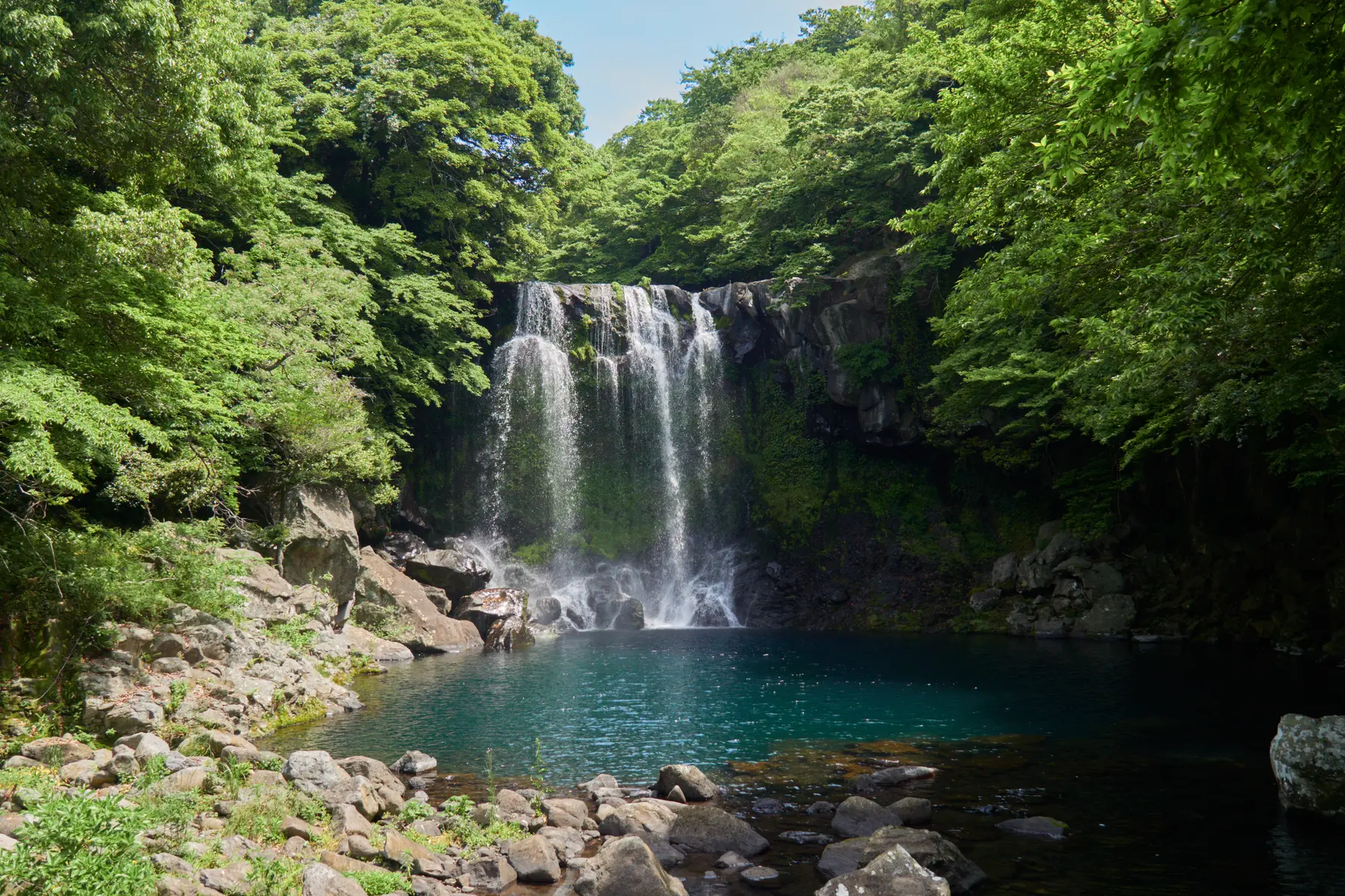 제주 천제연폭포 전경