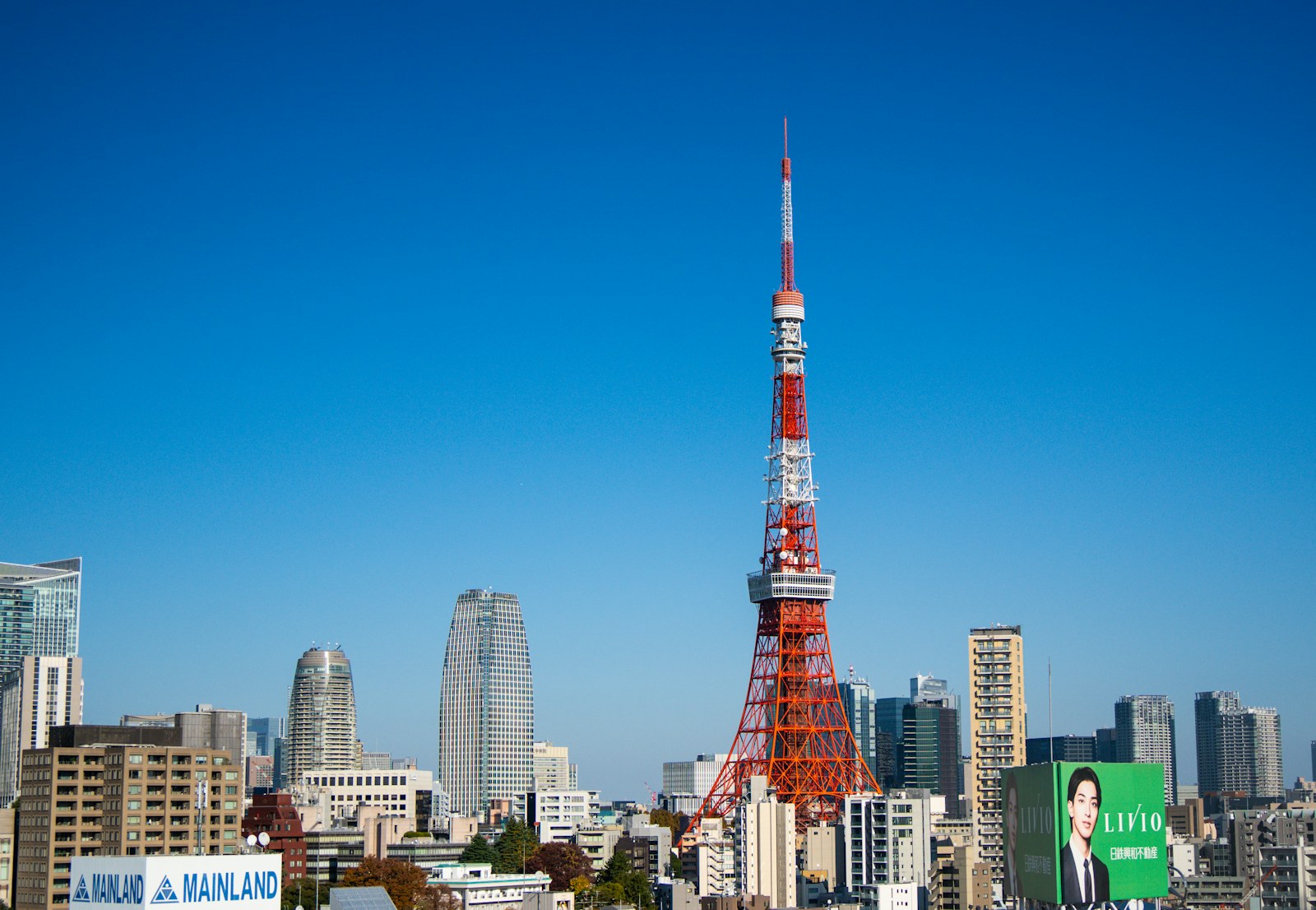 TOKYO · JAPAN 개최지 풍경