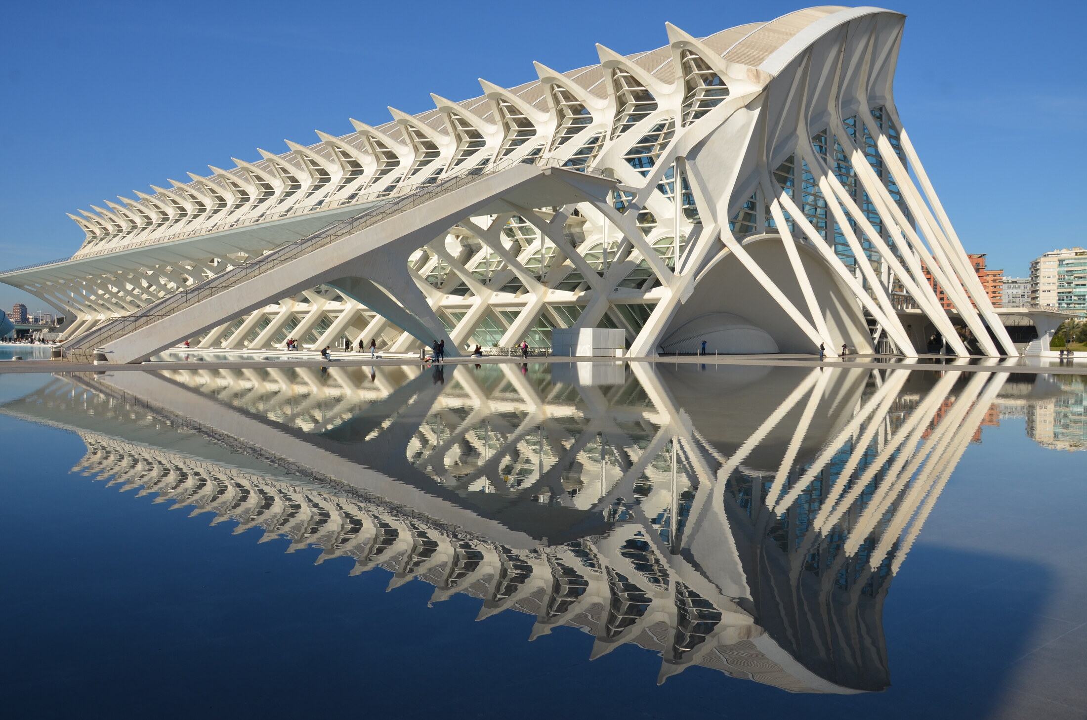 VALENCIA · SPAIN 개최지 풍경