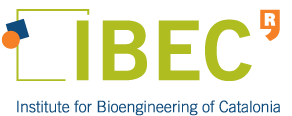 Institute for Bioengineering of Catalonia 로고