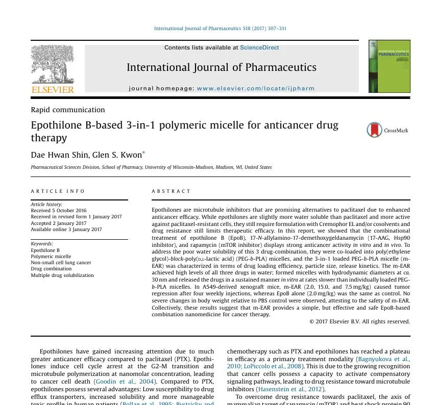 Epothilone B-based 3-in-1 polymeric micelle for anticancer drug therapy 논문 이미지